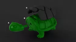 Turtle 3D Block