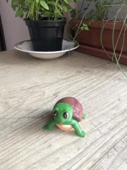 turtle