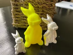 Easter Bunny with Mask