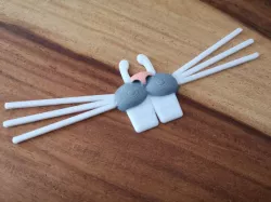 Funny Bunny Nose