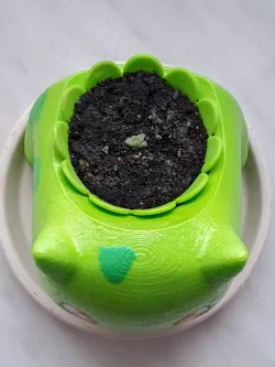 Inner pot with petals for Bulbasaur planter