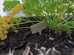 Plant sign