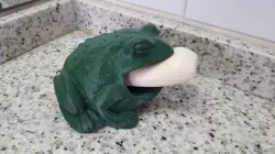 Toad soap holder