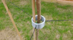 Tree Support Ring