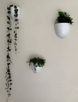 Wall Pot for Medium Command Hooks - Self-Watering Hanging Pot which is suitable for renters