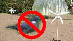 Wind turbine garden protector - l'éolienne qui protège votre jardin