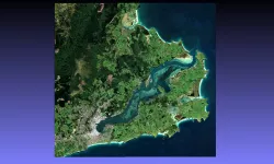 Dunedin (Ōtepoti), New Zealand (Colour)