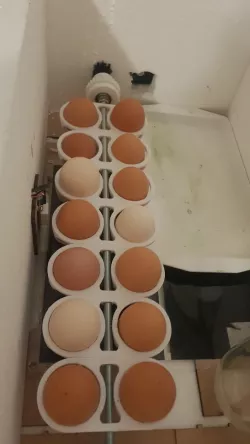 egg turner incubator 3D Models | Page 1 | STLFinder