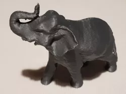 Elephant model 3D scan