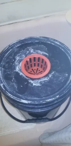Hydroponic Planter Basket for DWC