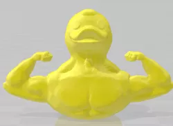 More Cohesive Muscle Duck