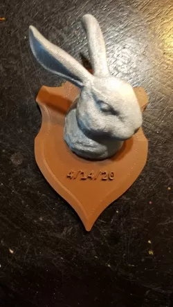 Mounted Bunny Head Trophy