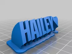 My Customized Sweeping 2-line name plate Hailey