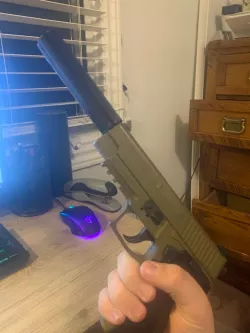 sig sauer p226 suppressor