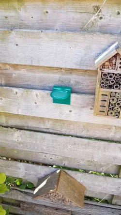 sugar water bath for bees