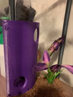 Tarantula Hide (T Hide)