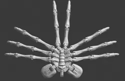 2 parts alien flexi-Facehugger, print it bigger !