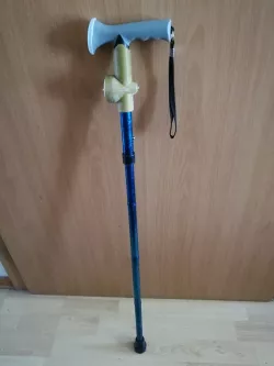 Cane blink LED