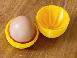 Egg transport egg