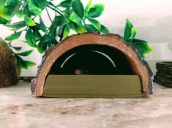 Humid Base for Log Hide