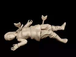 Shield Maiden Casualty