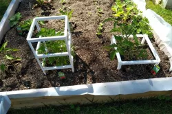 Stackable tomato cage 