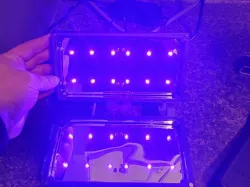 Uv Sterilizer