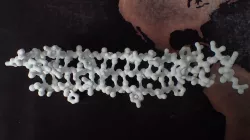 A beta-sheet from a sucrose specific porin as balls and sticks