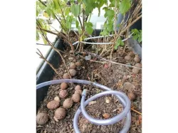 Automatic home plants watering system (under $10 bucks!) - Arduino Nano v1