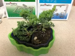 Bonzai Pot water overflow bowl - or a bowl for anything!