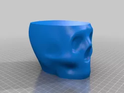 Nora the Vasemode skull
