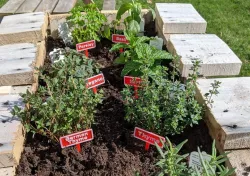 Plant Marker Label 
