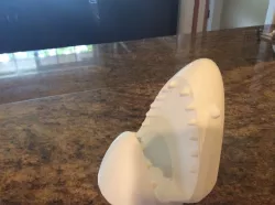 Shark Phone Stand