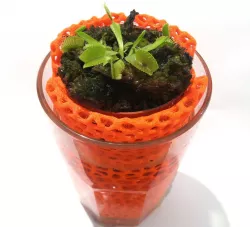 Voronoi planter for glass