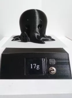 3D printed Kitchen Scale