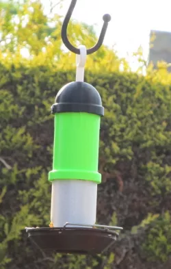 Bird Feeder