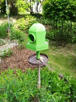 Birdfeeder platform / Futter Plattform Vögel