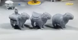 Capybara Companions