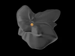 Heliosphere approximate shape scaled one in 7.5*10^13