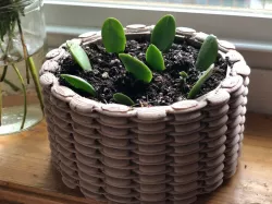Woven Planter