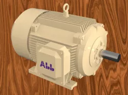 Abb Style 40Kw Motor with left terminal connection