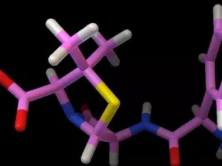 amoxicillin