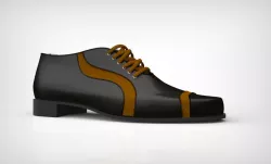 Another shoe model