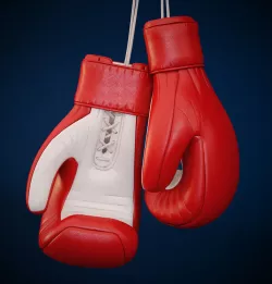 Boxing Gloves 3D model