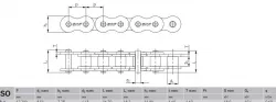 Chain with Dimentions Master and Gear