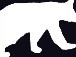 Cookie Cutter Big Bear