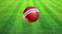 Cricket Ball