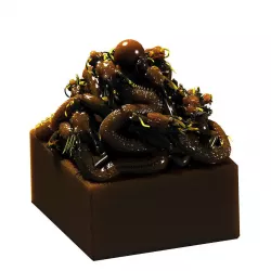 Emperor Seal 3D model