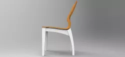 Ergonomic Chair