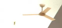 flore fan 